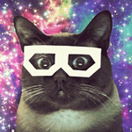Аватар Кошка сиамской породы в белых очках на фоне космоса