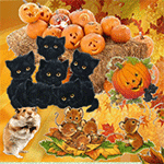 Аватар Котята, мышки и хомячок собрались на полянке отпраздновать хеллоуин