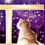 Аватар Котенок смотрит в окно на звездное небо, исходник by MessiahDeath