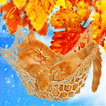 Аватар Рыжий котенок лежит в гамаке на заднем плане голубое небо с осенними листьями и дождем
