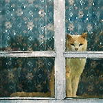 Аватар Рыжий кот смотрит в окно, за которым падает снег с дождем