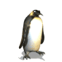 Аватар Пингвин приветственно машет крылом