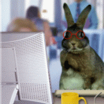 Аватар Кролик печатает на компьютере
