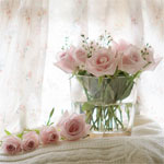 Аватар Нежно-розовые розы на светлом вязаном покрывале и в стеклянной вазочке