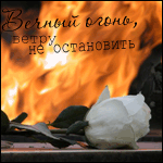 Аватар Белая роза лежит на столе, на фоне пылающего огня,(Вечный огонь, ветру не остановить)