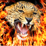 Аватар Голова леопарда в огне