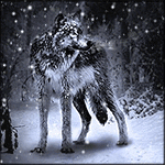 Аватар Волк стоит в лесу под снегом